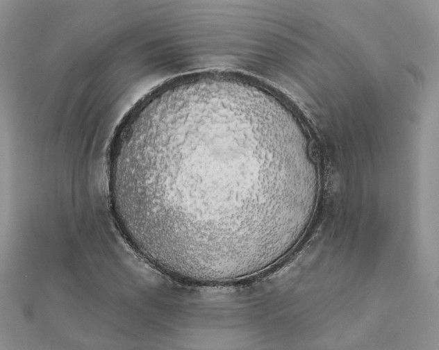 X0000111881118200908131628