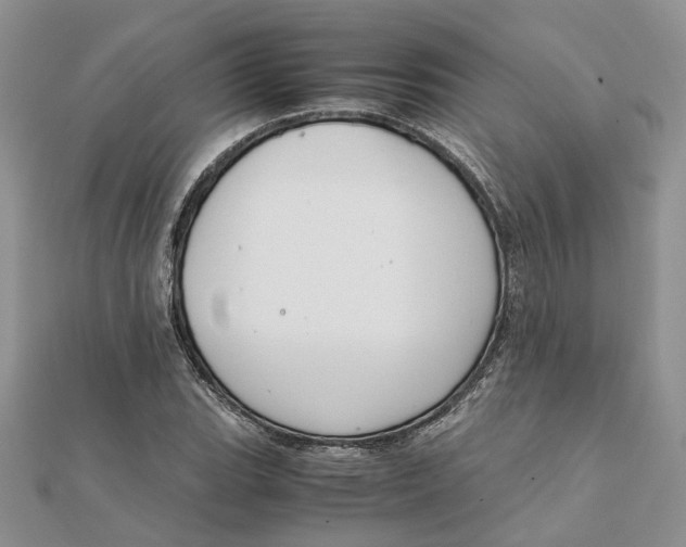 X0000111881119200908131628