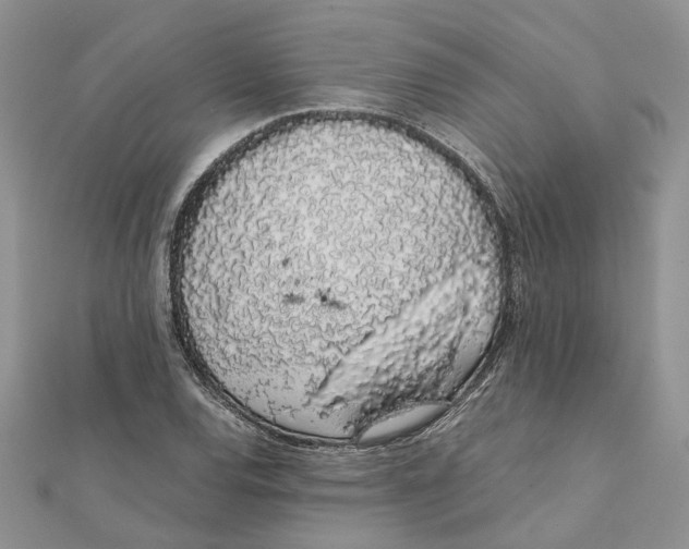 X0000111881120200908131628