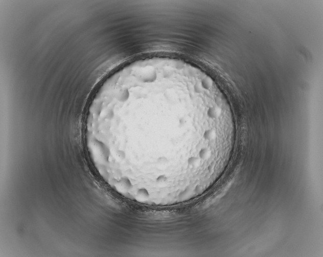 X0000111881121200908131628