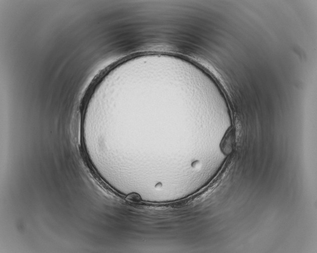 X0000111881123200908131628