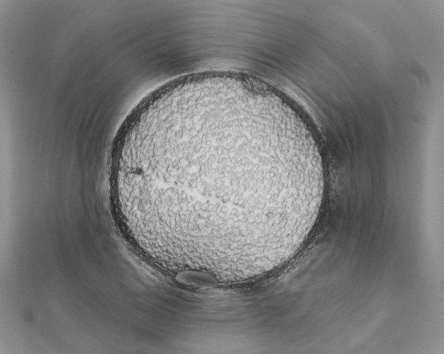 X0000111881124200908131628