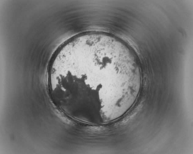 X0000111881125200908131628