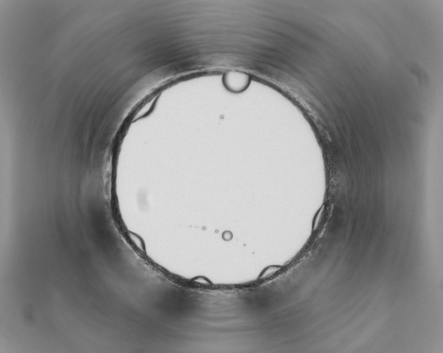 X0000111881126200908131628