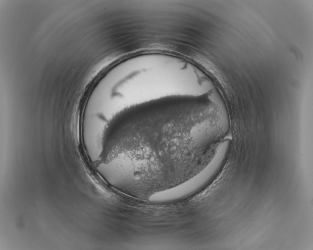 X0000111881127200908131628