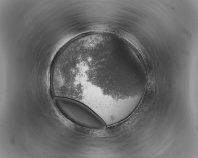 X0000111881128200908131628