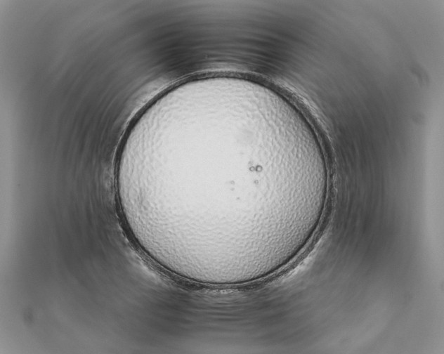 X0000111881129200908131628