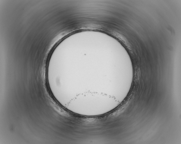 X0000111881130200908131628