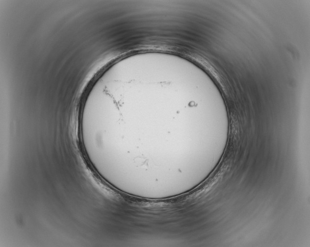 X0000111881131200908131628