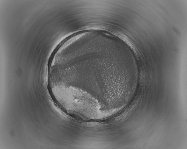 X0000111881132200908131628