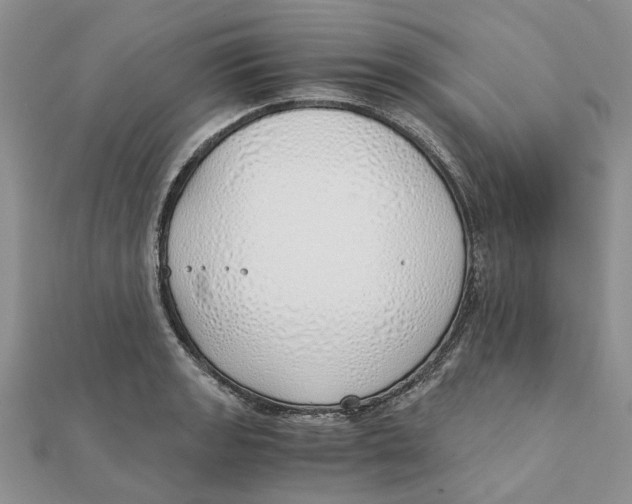 X0000111881133200908131628