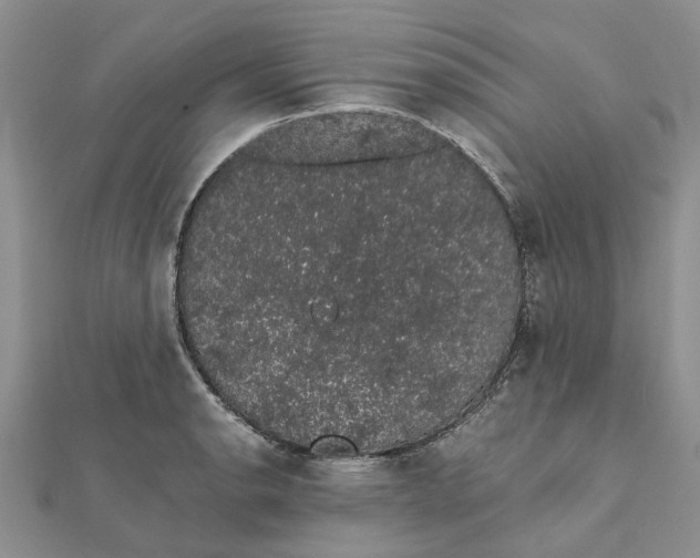 X0000111881134200908131628