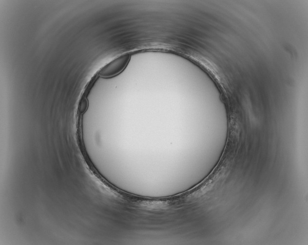 X0000111881135200908131628