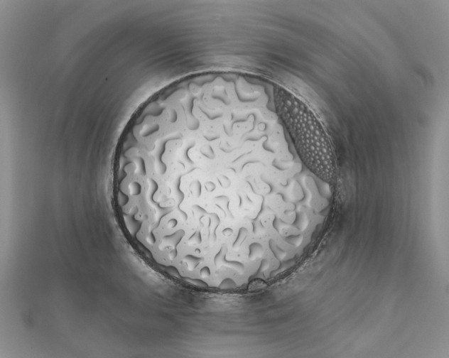 X0000111881136200908131628