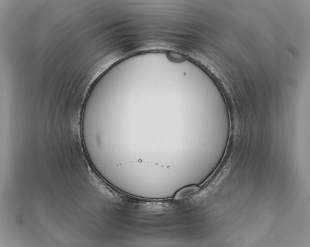 X0000111881137200908131628