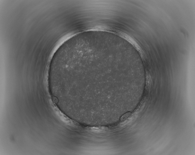 X0000111881138200908131628