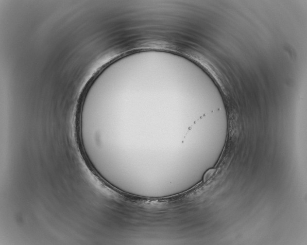 X0000111881139200908131628