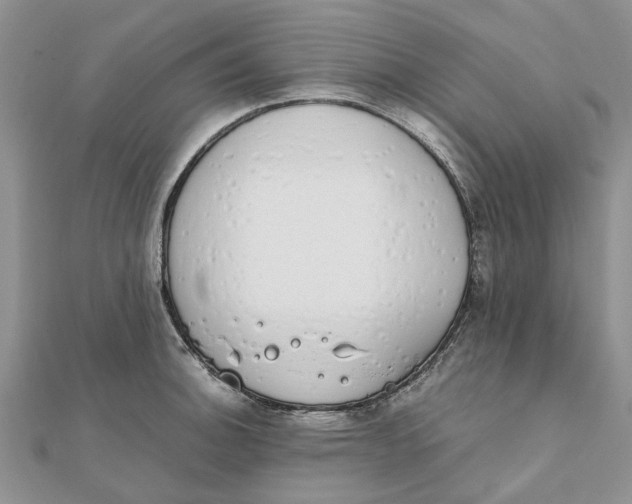 X0000111881140200908131628