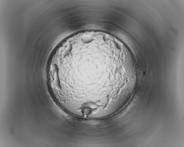 X0000111881141200908131628