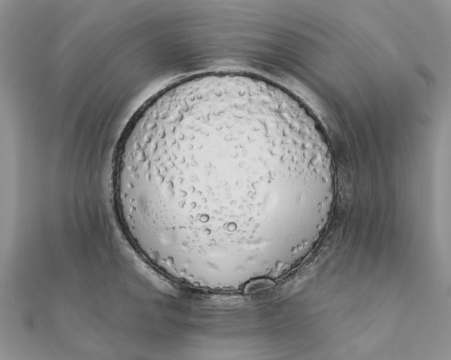 X0000111881142200908131628