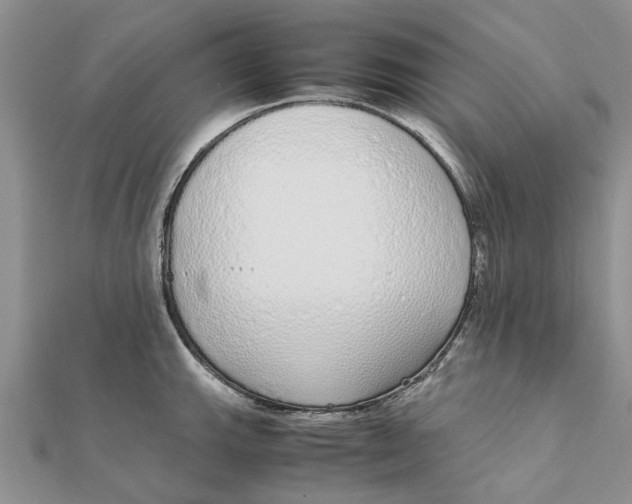 X0000111881143200908131628