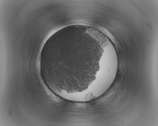 X0000111881144200908131628