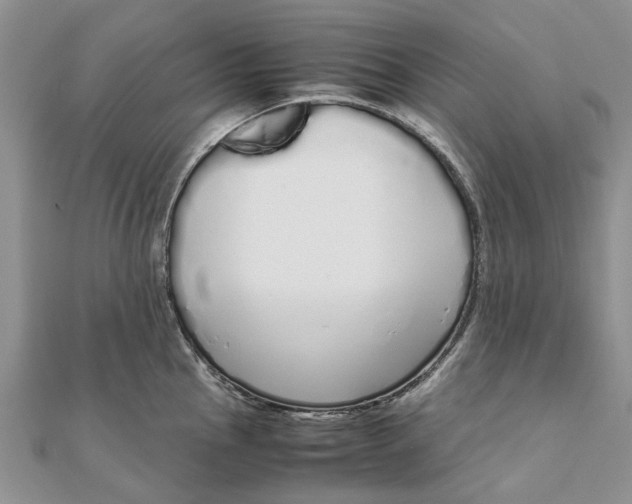 X0000111881145200908131628