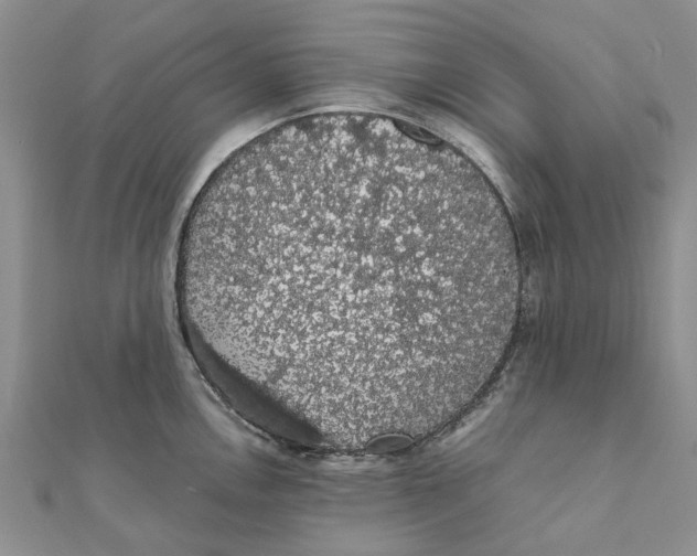 X0000111881146200908131628