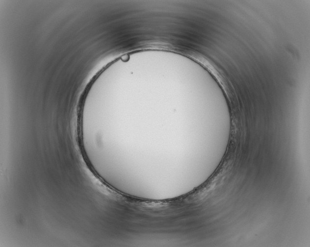 X0000111881147200908131628