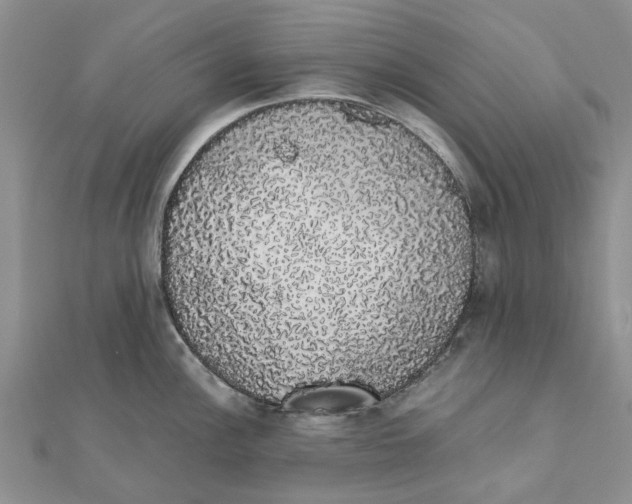 X0000111881148200908131628