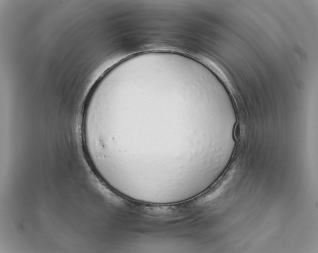 X0000111881149200908131628