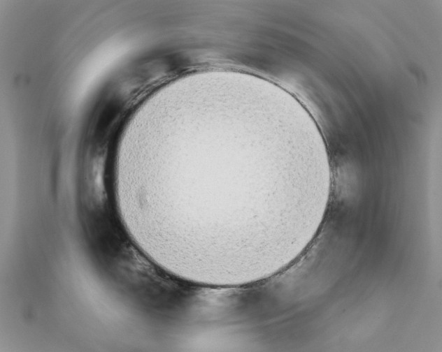 X0000111881150200908131628