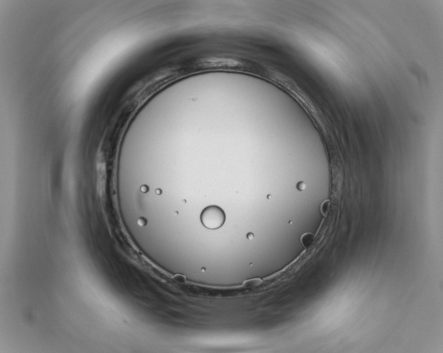 X0000111881151200908131628