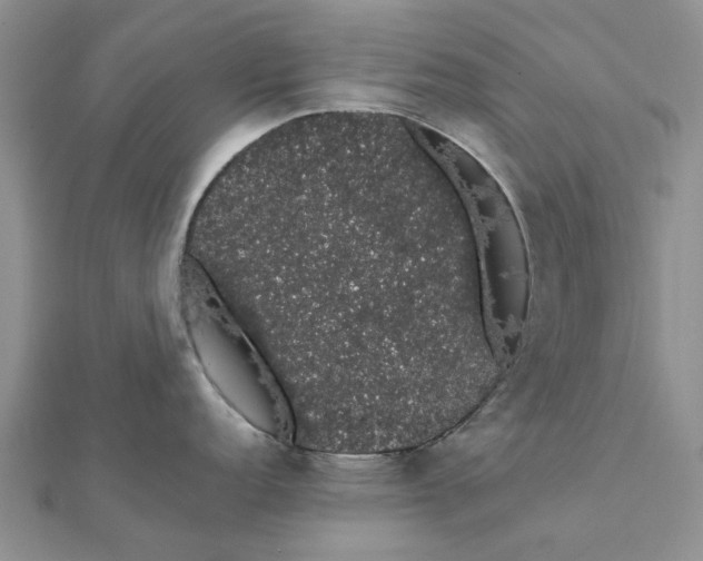 X0000111881152200908131628