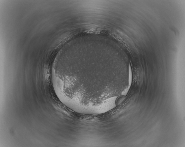 X0000111881154200908131627