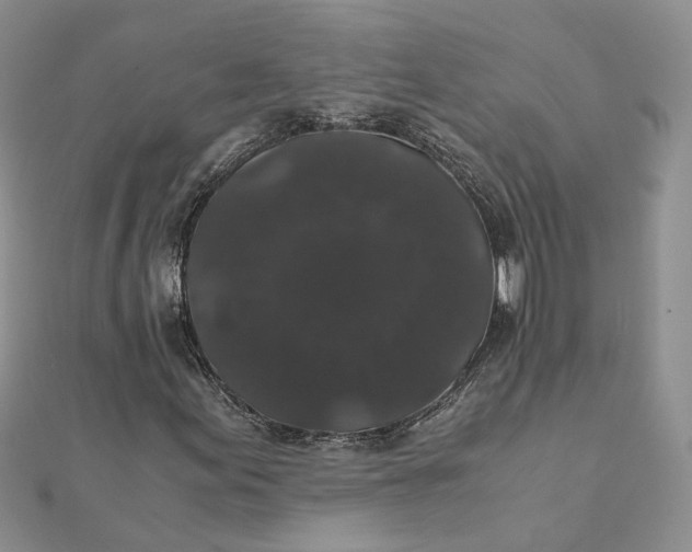 X0000111881155200908131627