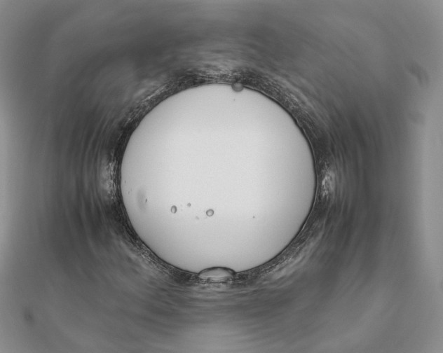 X0000111881156200908131627