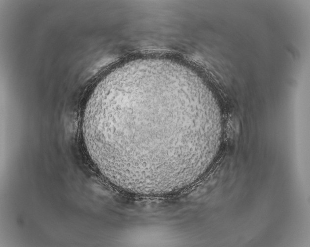 X0000111881157200908131627