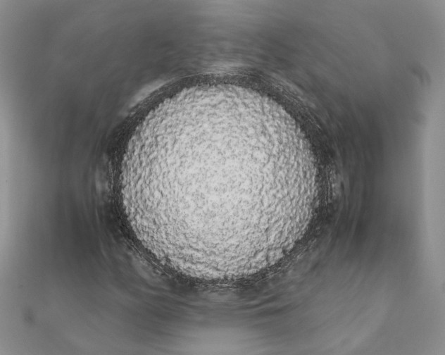 X0000111881158200908131627