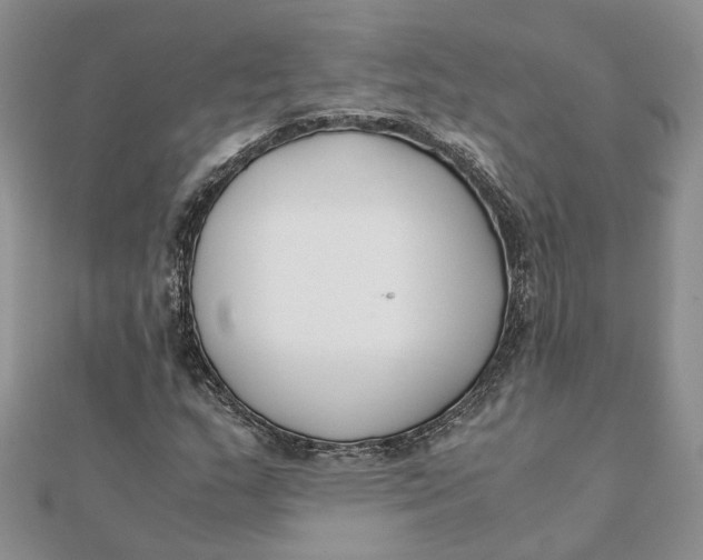 X0000111881159200908131627