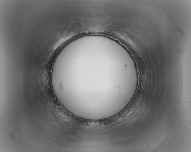 X0000111881160200908131627