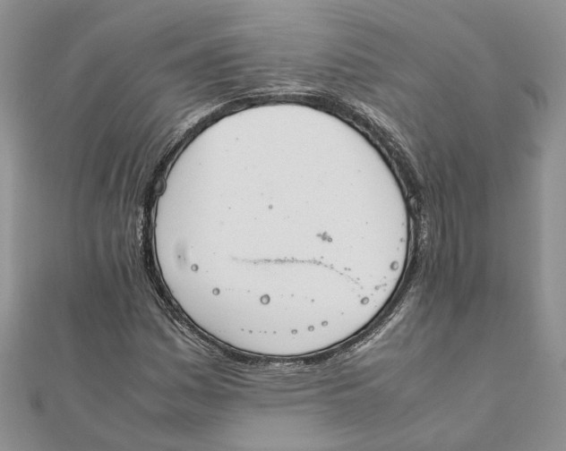 X0000111881161200908131627