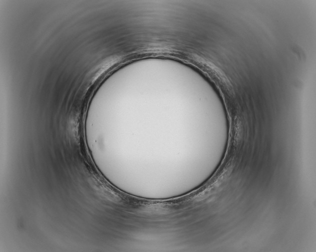 X0000111881162200908131627