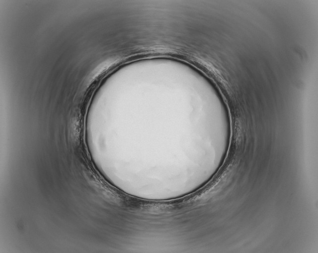 X0000111881163200908131627