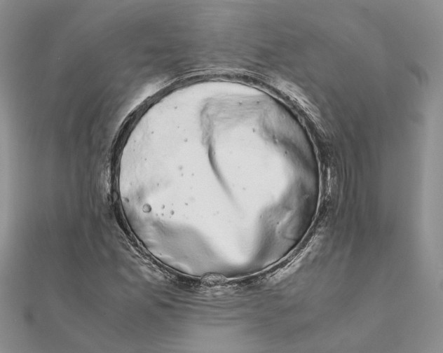 X0000111881165200908131627