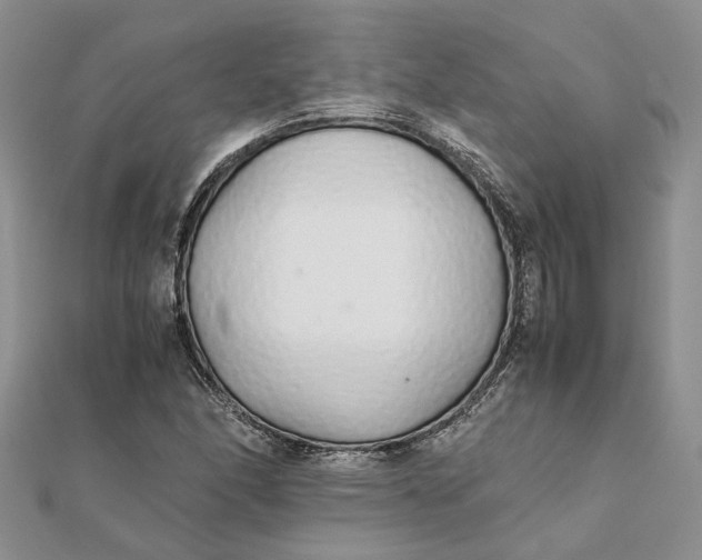 X0000111881166200908131627