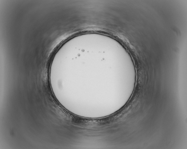 X0000111881167200908131627