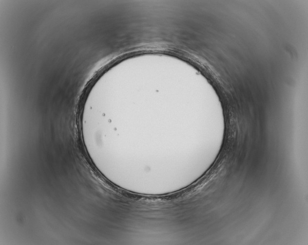 X0000111881168200908131627