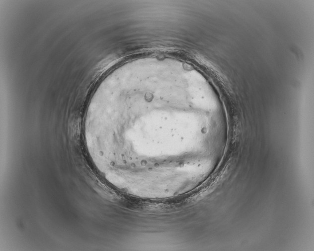 X0000111881169200908131627