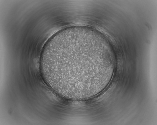 X0000111881170200908131627